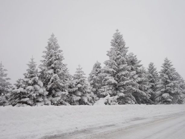 Imagen de los interiores del Hotel To Balcony Tis Agorianis. Foto 15