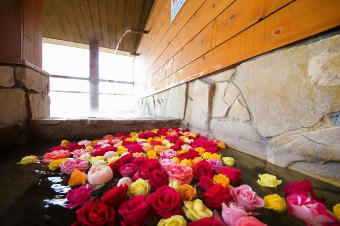 Imagen general del Hotel Toba View Hotel Hanashinju. Foto 2