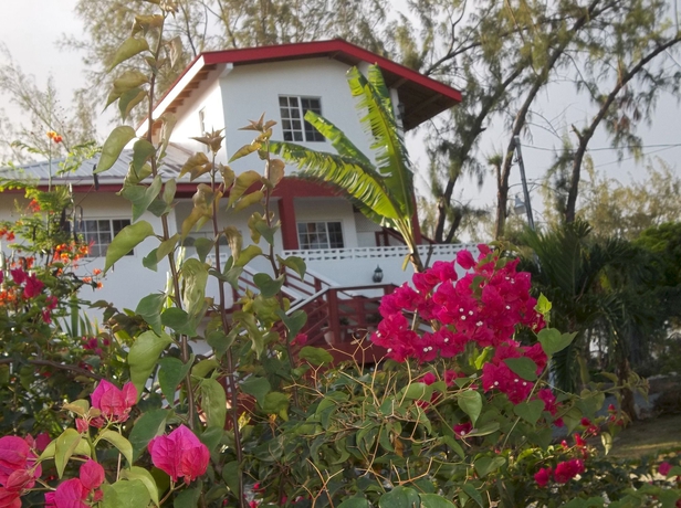 Imagen general del Hotel Tobago Tranquil Guesthouse. Foto 1