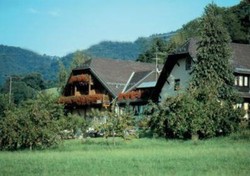 Imagen general del Hotel Tobererhof. Foto 4