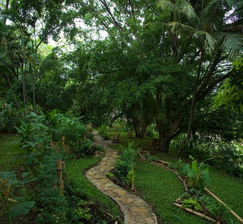 Imagen de los exteriores del Hotel Tocarema. Foto 11