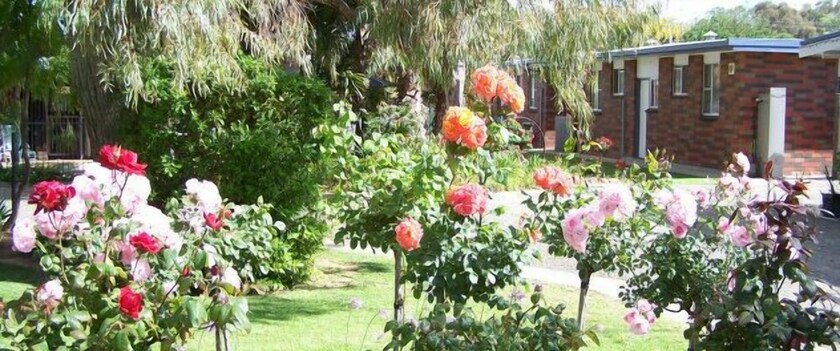 Imagen de los exteriores del Hotel Tocumwal All Seasons. Foto 10