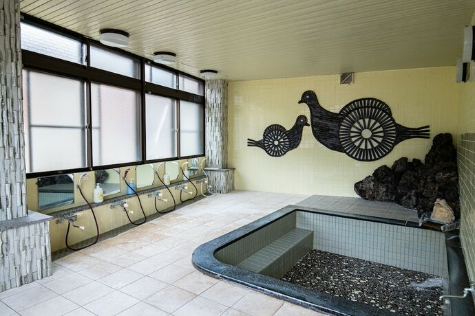 Imagen general del Hotel Toemu Nozawa. Foto 4