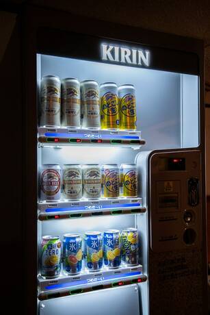 Imagen general del Hotel Toemu Nozawa. Foto 7