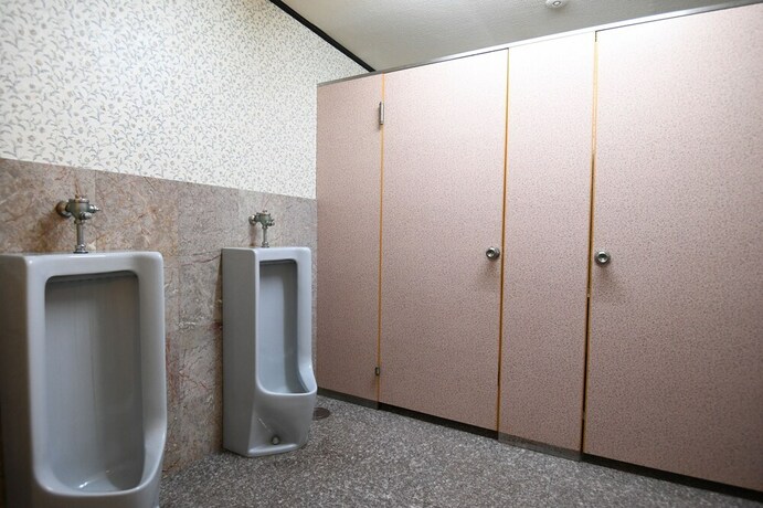 Imagen de la habitación del Hotel Toemu Nozawa. Foto 15