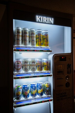 Imagen de los interiores del Hotel Toemu Nozawa. Foto 30