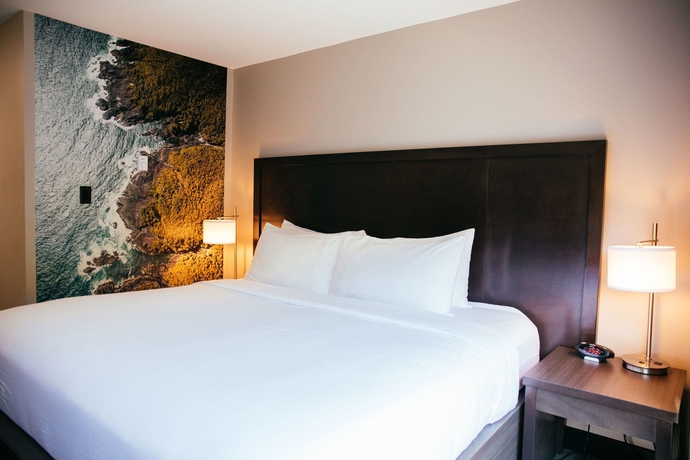 Imagen de la habitación del Hotel Tofino Resort and Marina. Foto 5