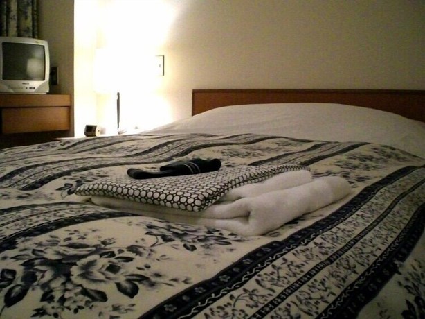 Imagen de la habitación del Hotel Togane Hills. Foto 2