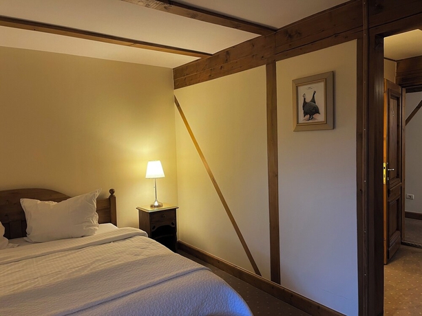 Imagen de la habitación del Hotel Tohanu Vechi. Foto 7