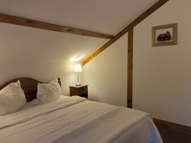 Imagen de la habitación del Hotel Tohanu Vechi. Foto 11
