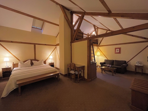 Imagen de la habitación del Hotel Tohanu Vechi. Foto 14