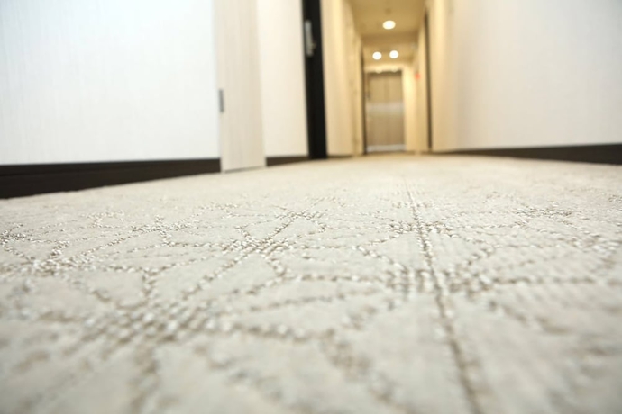 Imagen de los interiores del Hotel Toho. Foto 18