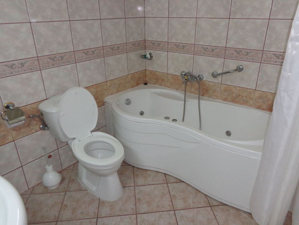 Imagen de la habitación del Hotel Tokin House. Foto 8