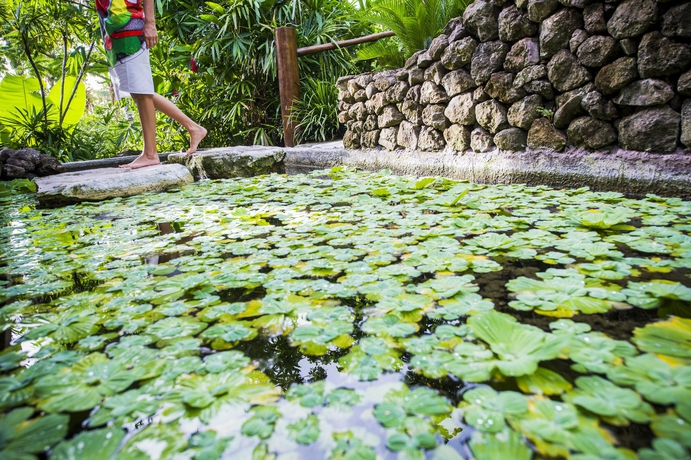 Imagen de los exteriores del Hotel Tokoriki Island Resort - Adults Only. Foto 10