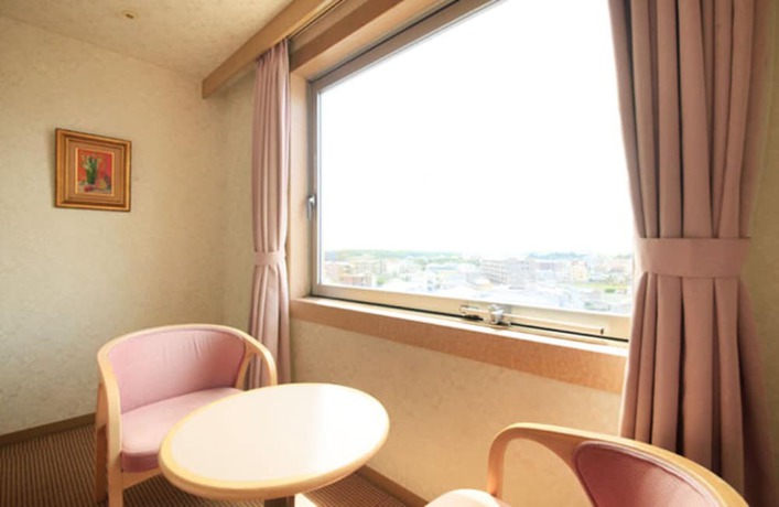 Imagen de la habitación del Hotel Tokorozawa Park. Foto 8
