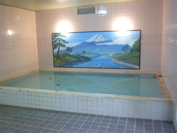 Imagen de la piscina del Hotel Tokyo Business. Foto 16