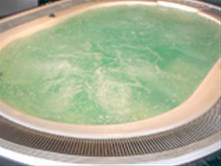 Imagen general del Hotel Tokyo Kiba. Foto 10