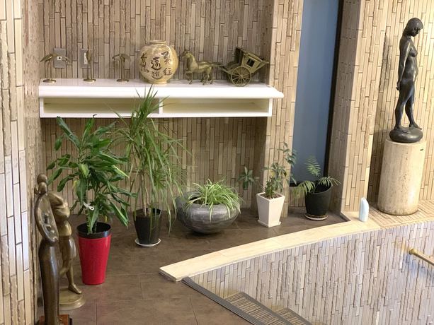 Imagen de los interiores del Hotel Tokyo Plaza. Foto 12