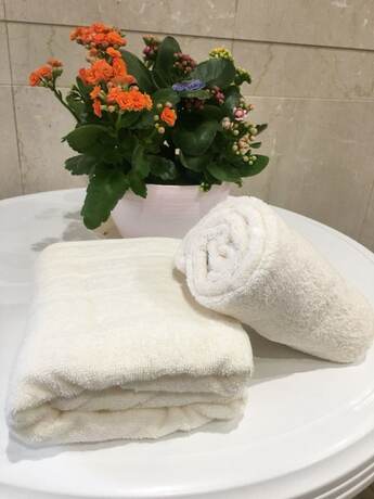 Imagen general del Hotel Tokyo Shinhouse-Ikebukuro. Foto 12