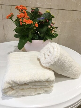 Imagen de la habitación del Hotel Tokyo Shinhouse-Ikebukuro. Foto 29
