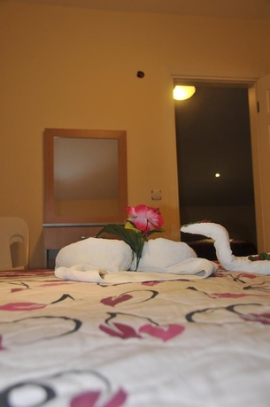 Imagen de la habitación del Hotel Tolay. Foto 16
