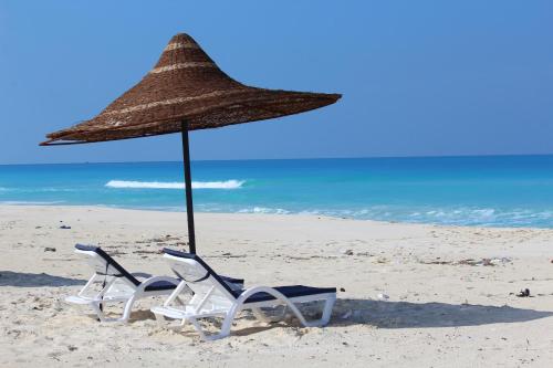 Imagen general del Hotel Tolip North Coast, al maadi. Foto 3