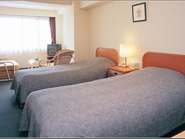 Imagen de la habitación del Hotel Tominoko. Foto 8