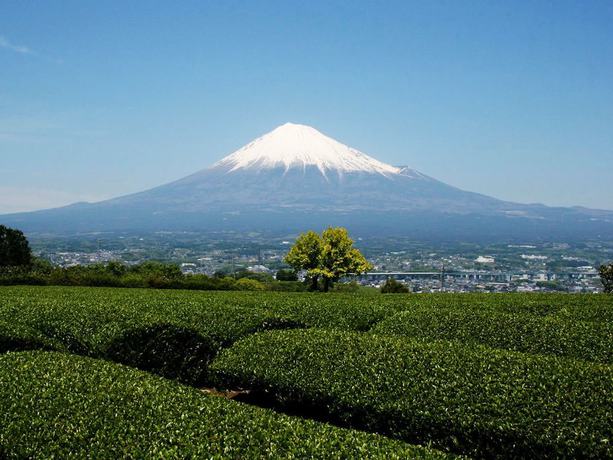 Imagen de los exteriores del Hotel Tomioka-ya. Foto 10