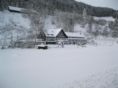 Imagen general del Hotel Tommes G&auml;stehaus Zur M&uuml;hle. Foto 8