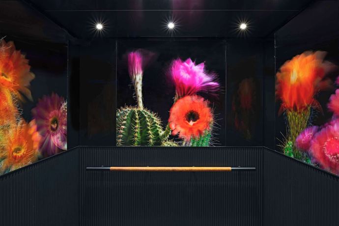 Imagen de los interiores del Hotel Tommie Austin, Part Of Jdv By Hyatt. Foto 14