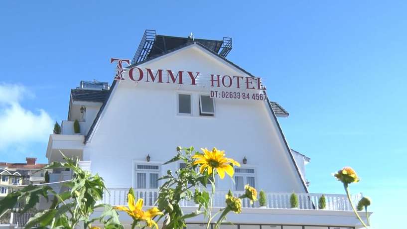 Imagen de los interiores del Hotel Tommy Dalat. Foto 16