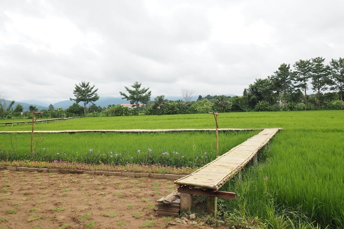 Imagen de los exteriores del Hotel Ton Lang Homestay. Foto 16