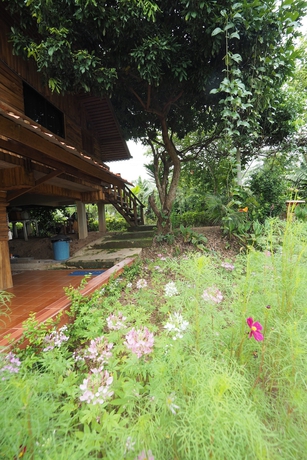 Imagen de los exteriores del Hotel Ton Lang Homestay. Foto 18