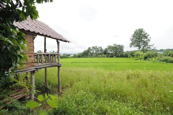 Imagen de los exteriores del Hotel Ton Lang Homestay. Foto 19