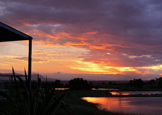 Imagen general del Hotel Tonic, LOVEDALE. Foto 3