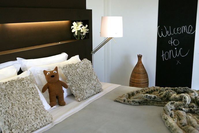 Imagen de la habitación del Hotel Tonic, LOVEDALE. Foto 14