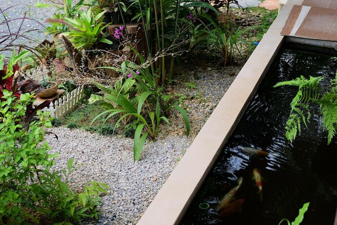 Imagen general del Hotel Tonpalm Farmstay. Foto 5