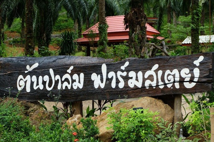 Imagen general del Hotel Tonpalm Farmstay. Foto 11