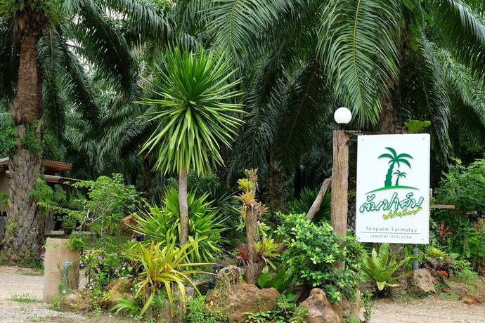 Imagen general del Hotel Tonpalm Farmstay. Foto 1