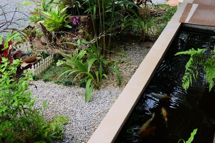 Imagen de la habitación del Hotel Tonpalm Farmstay. Foto 29