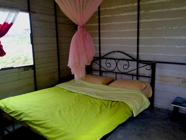 Imagen general del Hotel Tony Guesthouse. Foto 2