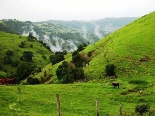 Imagen de la habitación del Hotel Top Of The Hill. Foto 22