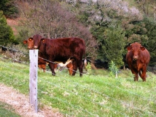 Imagen de los exteriores del Hotel Top Of The Hill. Foto 28