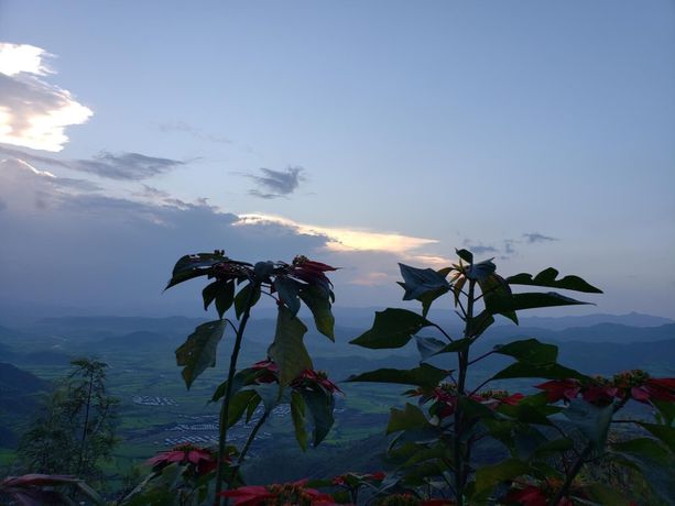 Imagen de los exteriores del Hotel Top Twelve. Foto 17