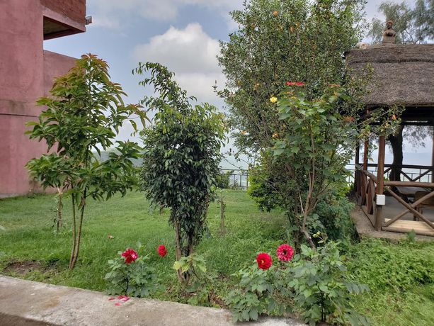 Imagen de los exteriores del Hotel Top Twelve. Foto 19