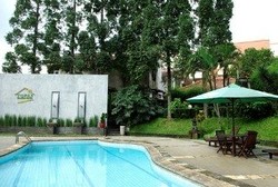 Imagen de la piscina del Hotel Topas Gallery. Foto 14