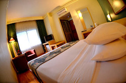 Imagen de la habitación del Hotel Topas Gallery. Foto 11