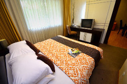 Imagen de la habitación del Hotel Topas Gallery. Foto 13