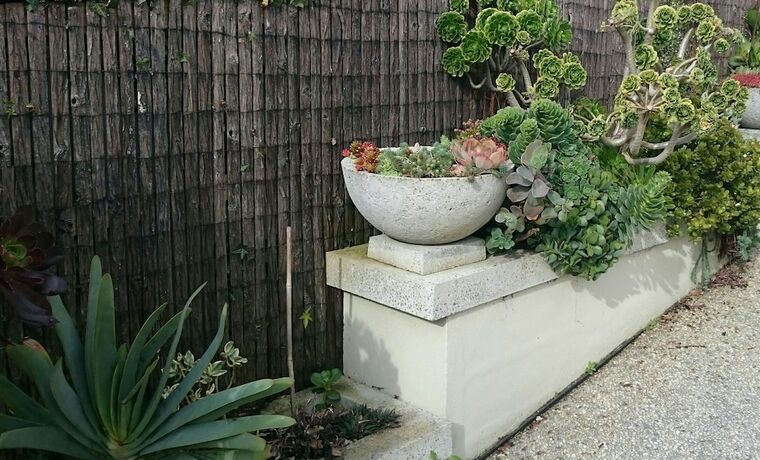 Imagen general del Hotel Topiary Haven. Foto 4