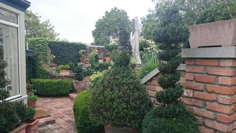 Imagen general del Hotel Topiary Haven. Foto 15